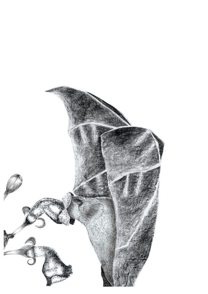botanicalgarden_sketch-nadinehunziker