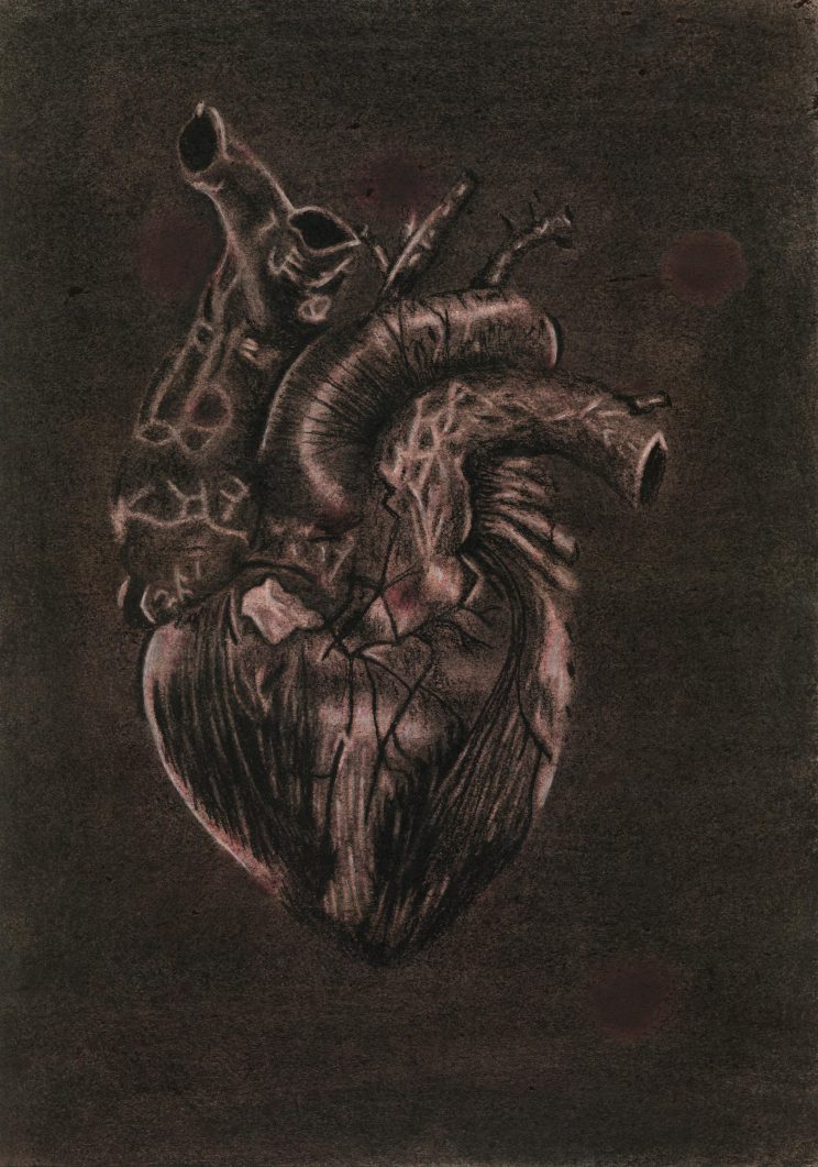 darwin_heart_nadinehunziker