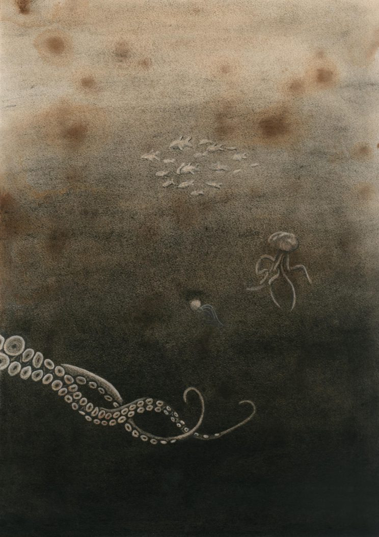 darwin_ocean_nadinehunziker